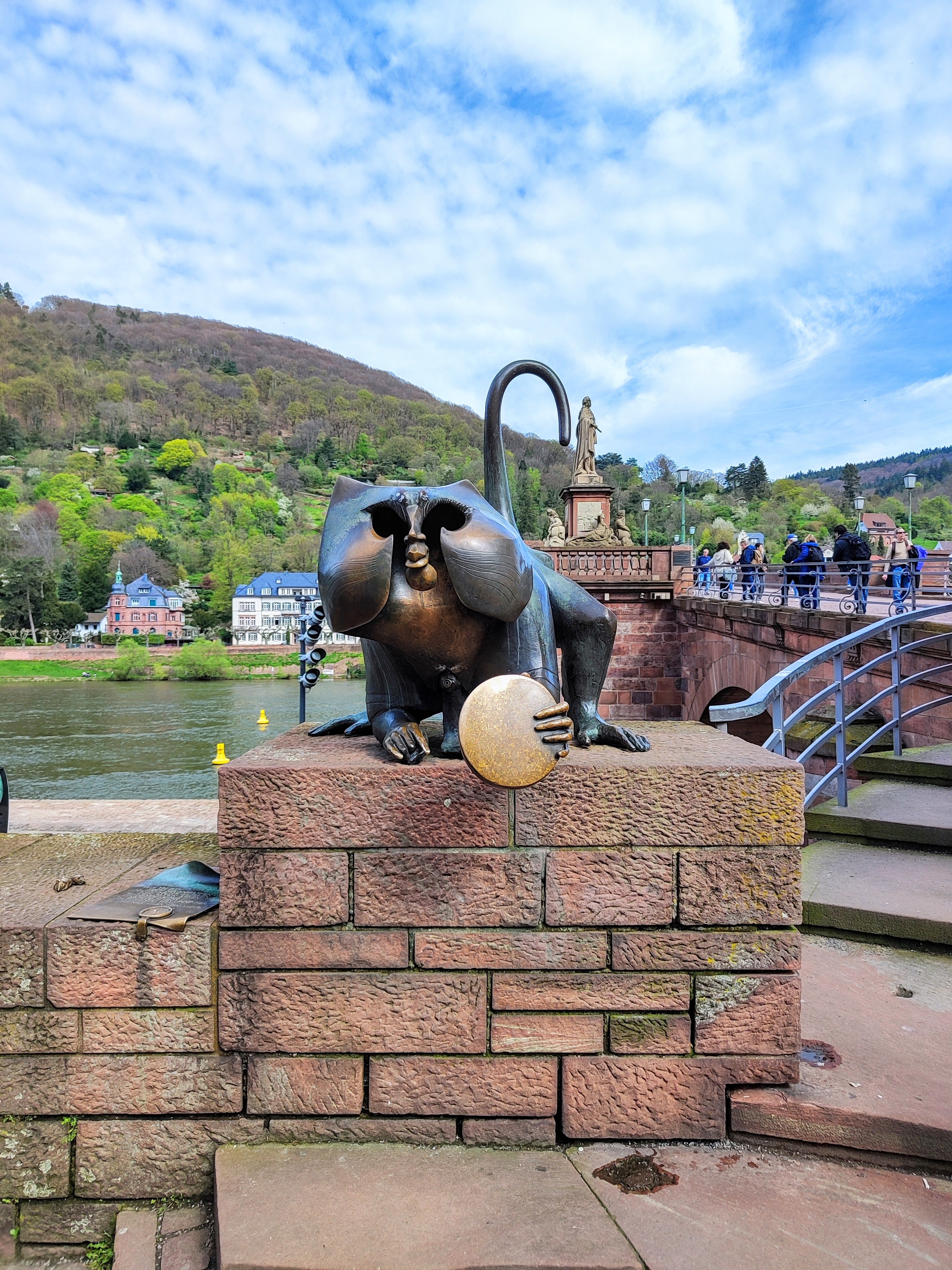 EXPRESS TOUR of Historic Heidelberg - All the Highlights in 1 hour