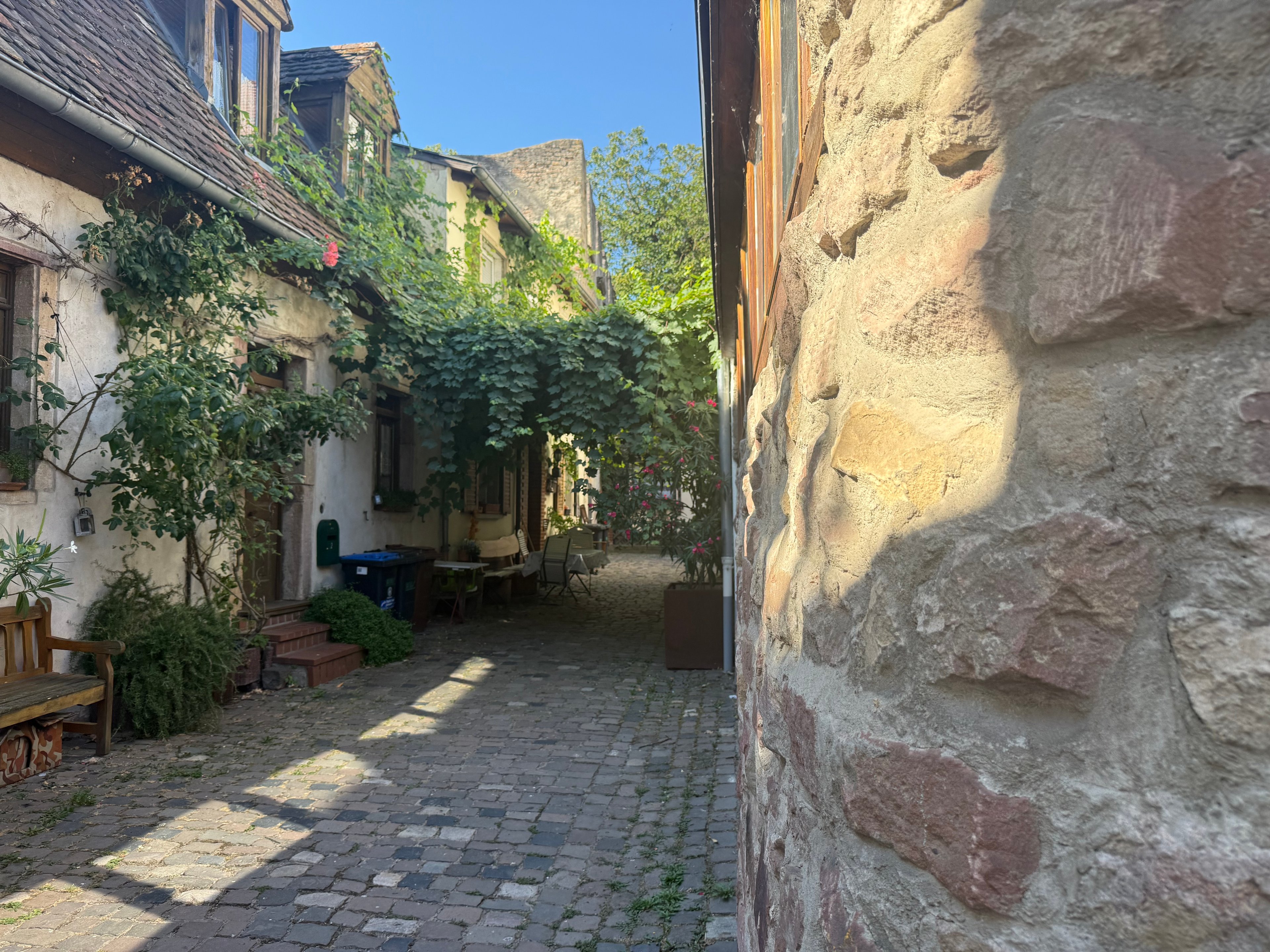Speyer entdecken – Kaiserdom, Altstadt & Geschichte