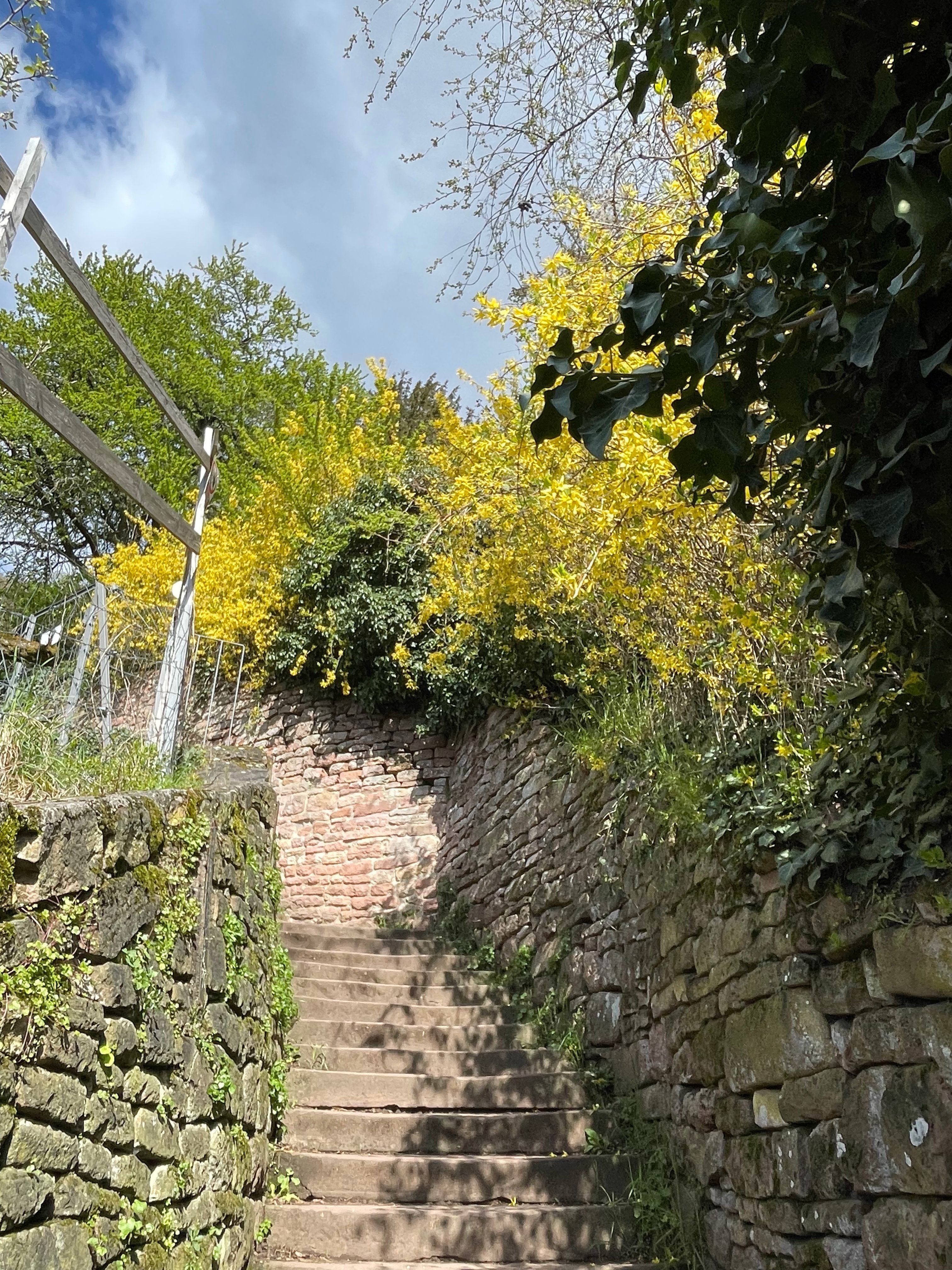 Heidelberger Osterwanderung – Heidelberg Easter Hike