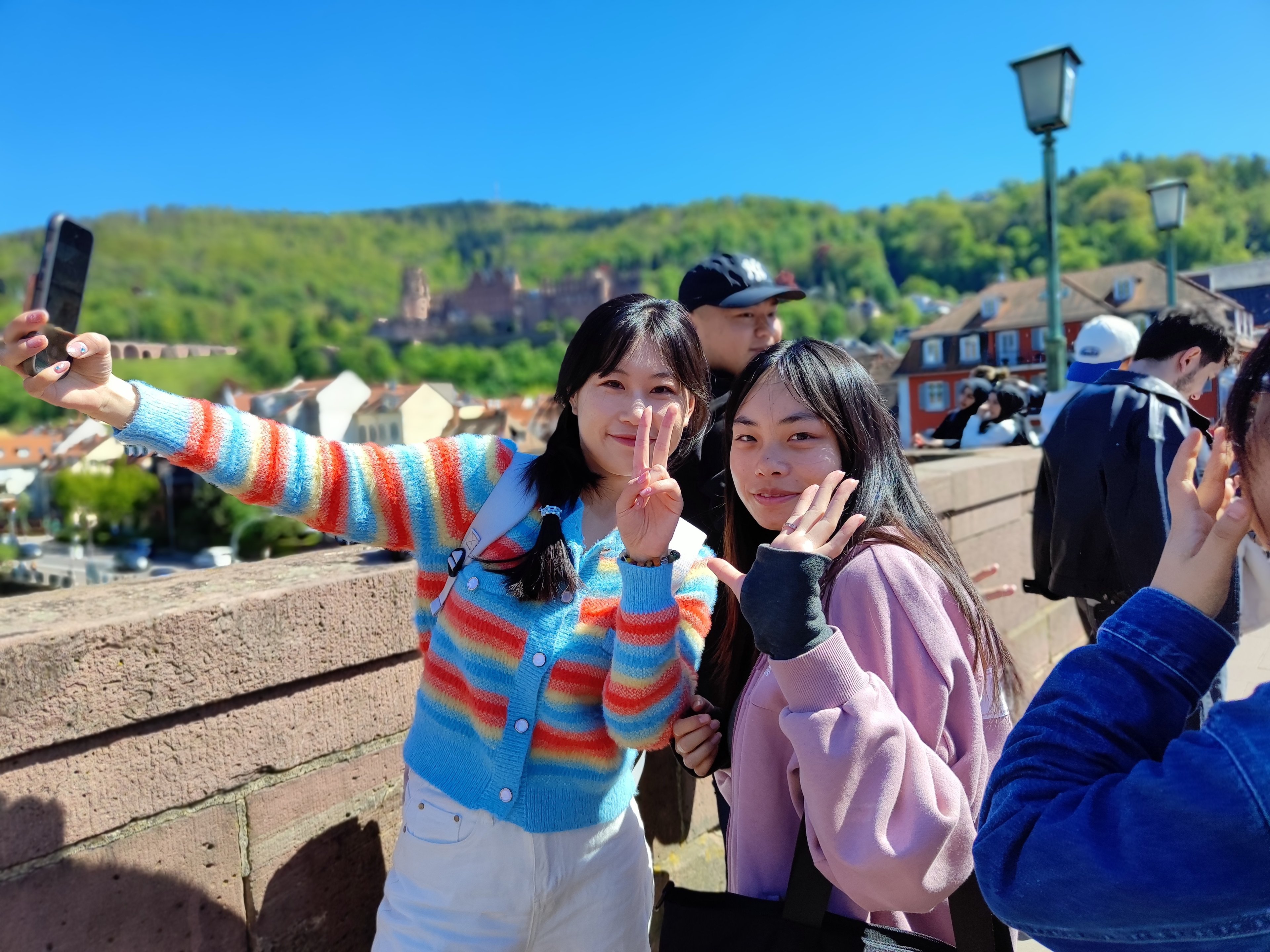 EXPRESS TOUR of Historic Heidelberg - All the Highlights in 1 hour