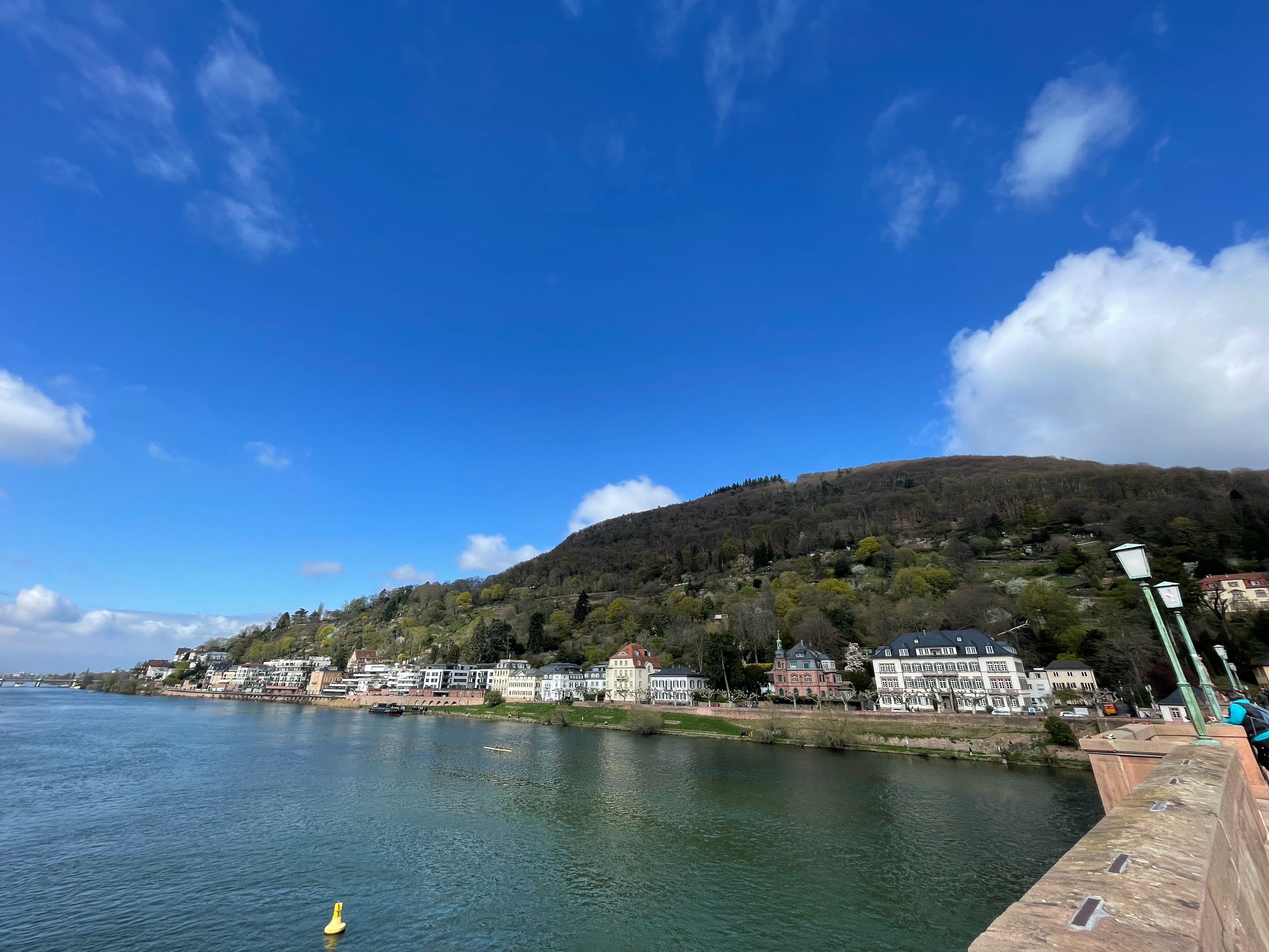 Heidelberger Osterwanderung – Heidelberg Easter Hike