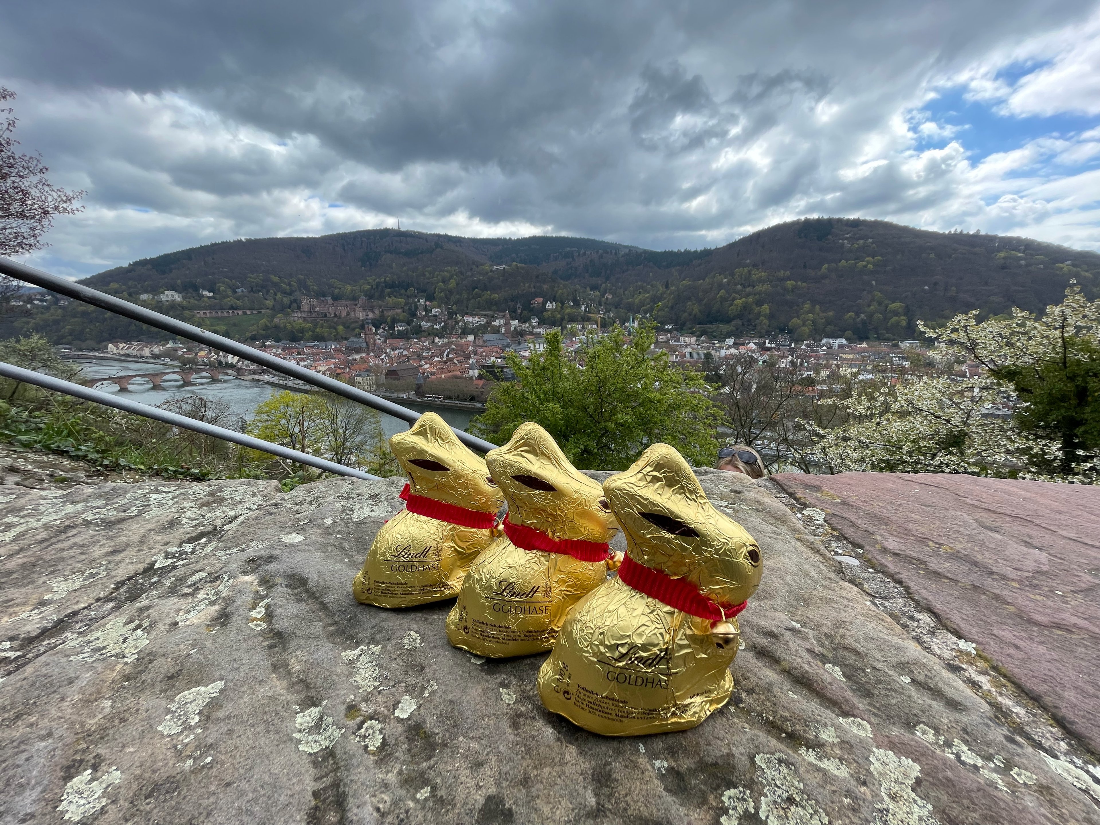 Heidelberger Osterwanderung – Heidelberg Easter Hike